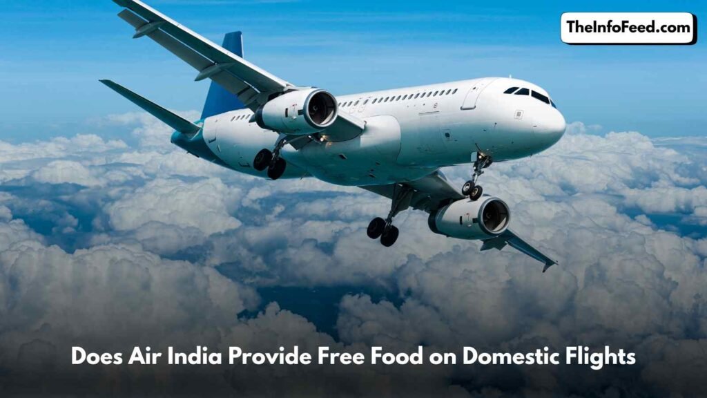 Does Air India Provide Free Food on Domestic Flights